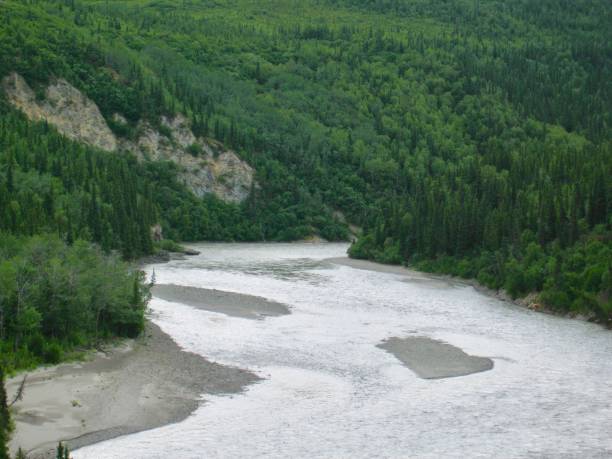 istock Interior of Alaska Wilderness 1322172961