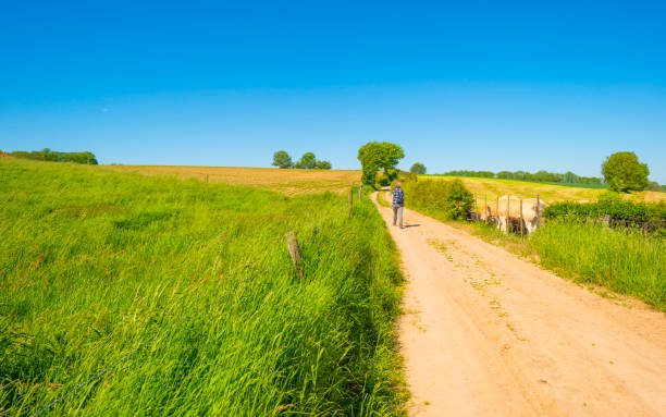 istock Fields and trees in a green hilly grassy landscape under a blue sky in sunlight in springtime 1322173618