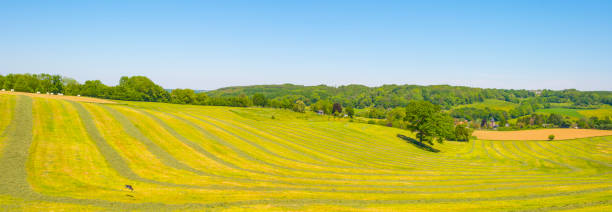 istock Fields and trees in a green hilly grassy landscape under a blue sky in sunlight in springtime 1322173630