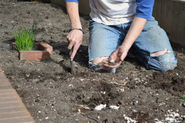 istock Urban Garden Vegetables 1322174588