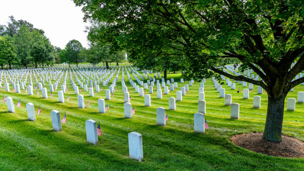 Familiar tomb stone pattern at Arlington Cemetery