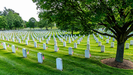 Memorial Day at Arlington Cemetery with little American flags