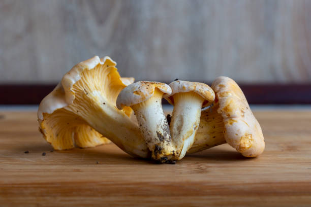 istock chanterelle mushrooms on the table 1322174781
