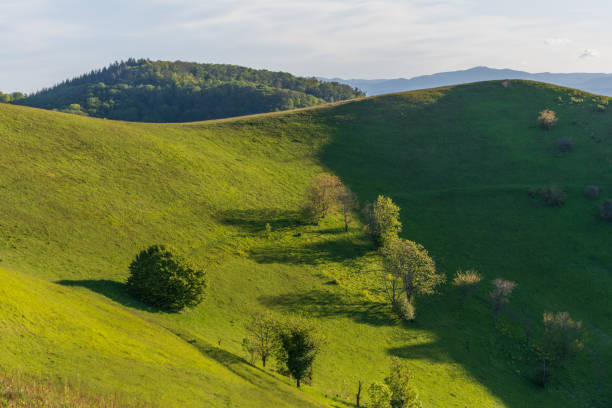 Medium mountain landscape of volcanic origin located in the southwest of Baden-WÃ¼rttemberg in Germany, Kaiserstuhl.