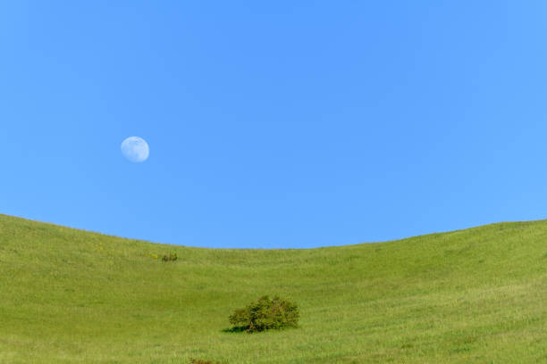 Landscape with the moon in the hills in spring. Germany, Kaiserstuhl, medium mountains of volcanic origin located in the southwest of Baden-WÃ¼rttemberg.
