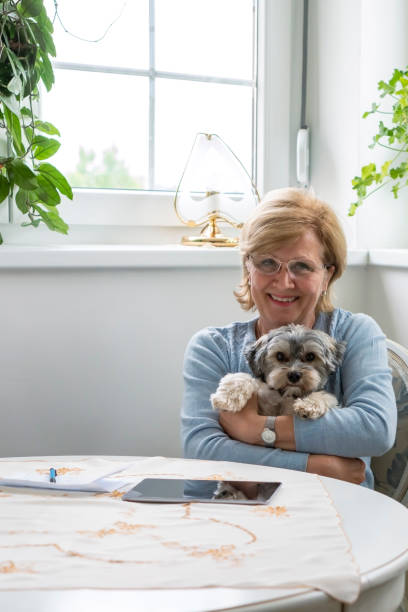 Senior woman with her little dog Senior woman with her little dog  et home. dog disruptagingcollection stock pictures, royalty-free photos & images