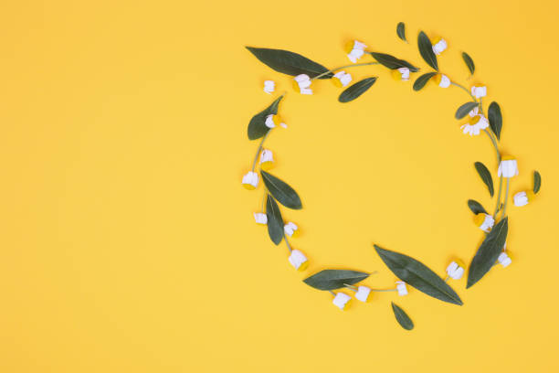 istock background from daisies. Copy space. Chamomile in the shape of a circle. Frame. Baner 1322176326