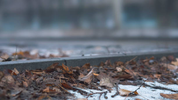 istock Autumn weather in an urban environment. 1322176747