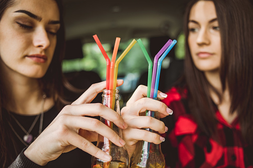 An LGBT lesbian couple spends time in nature, using a beautiful day for a picnic and moments of happiness. Two women drink alcohol from a bottle with rainbow-colored straws - the LGBT concept.