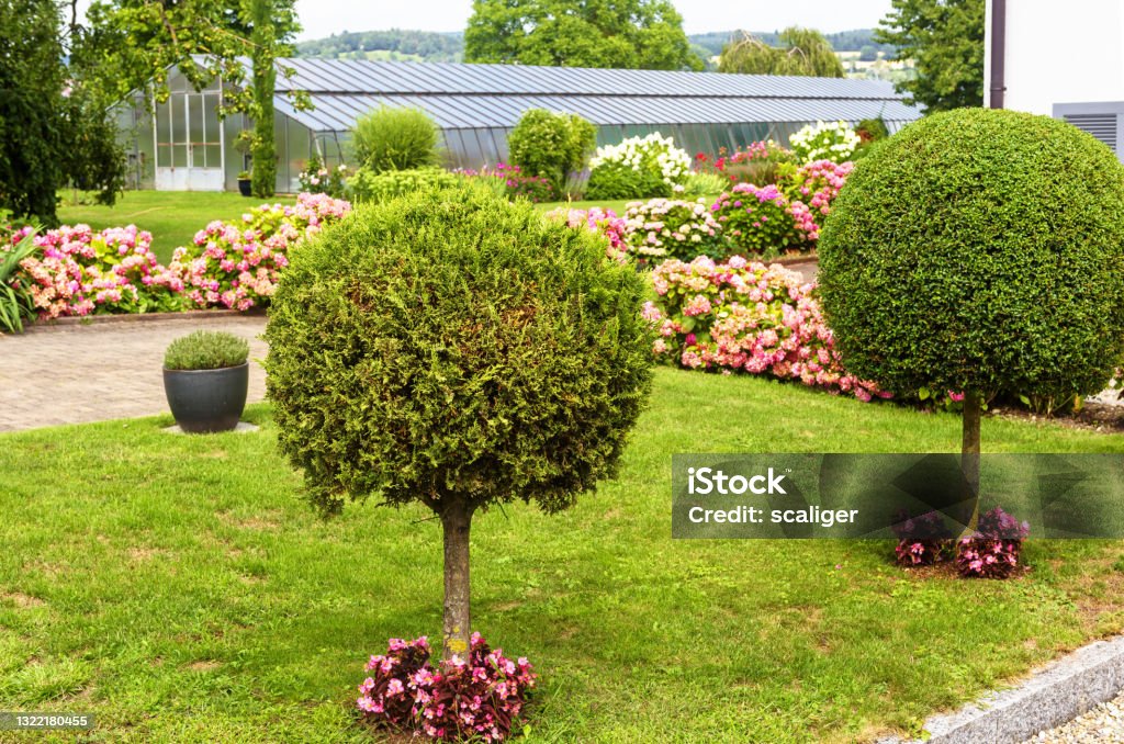 Landscape design with topiary garden at house in Reichenau Island, Germany Landscape design with plants, flowers and topiary at residential house in Reichenau Island, Germany. Nice landscaping home garden near Constance Lake. Scenic view of beautiful landscaped backyard. Landscaped Stock Photo