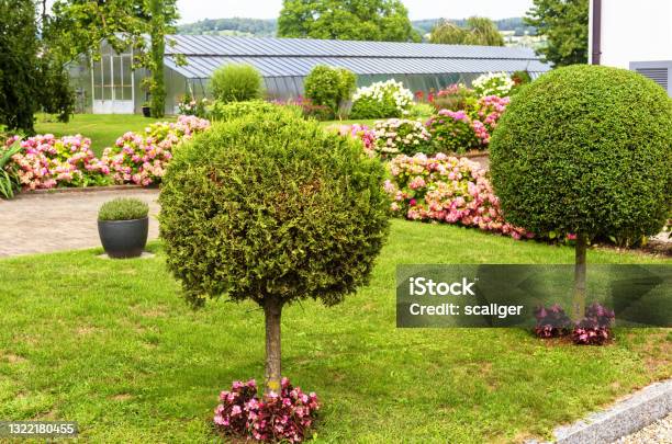 Landscape Design With Topiary Garden At House In Reichenau Island Germany Stock Photo - Download Image Now