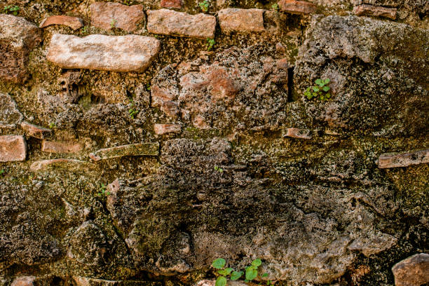 great view of the old stone surface on which moss and other green plants grow