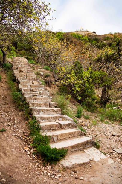 istock Ancient stone staircase footpath in hilly Park. 1322184748