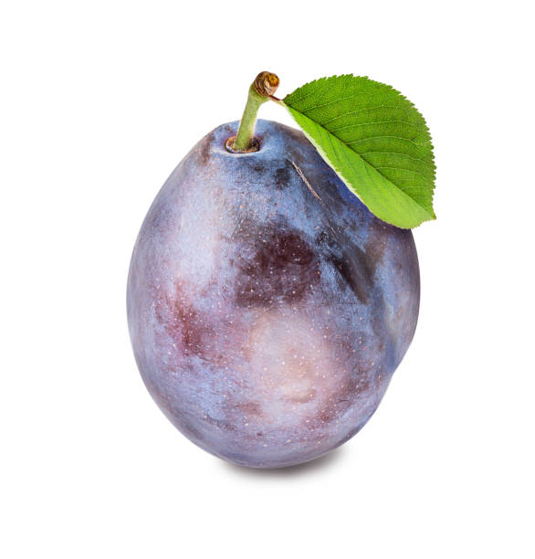 istock Plum with leaves isolated on white background with clipping path 1322188217
