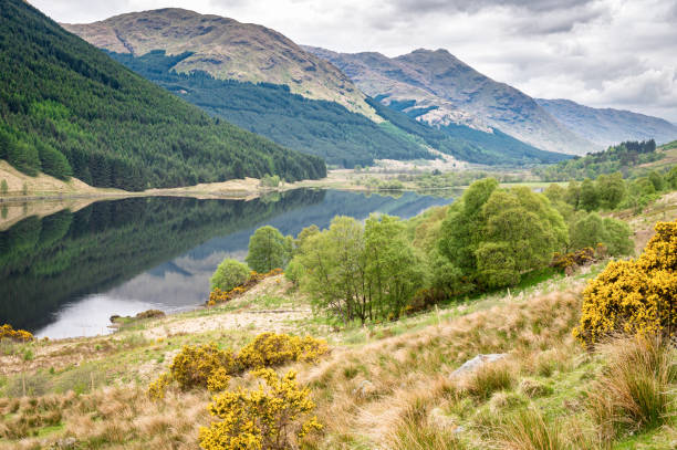 istock The edge of Loch Doine 1322191496