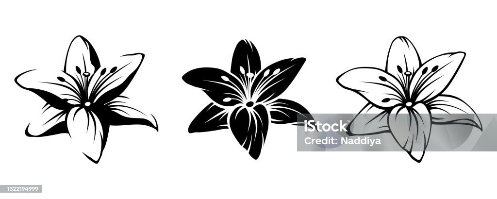 Ilustración de Flores De Lirio Siluetas Negras Vectoriales y más Vectores  Libres de Derechos de Lirio - Lirio, Flor, Blanco y negro - iStock