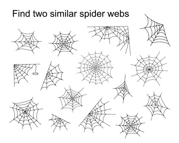 子供のための2つの同様のハロウィーンクモの巣教育活動を見つけ、パズルゲームの輪郭の手描きのベクトルイラスト、シンプルな漫画の落書きファンシー昆虫ワークシート - クモの巣点のイラスト素材／クリップアート素材／マンガ素材／アイコン素材