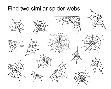 Find two similar Halloween spider webs educational activity for children, outline hand drawn vector illustration of puzzle game, simple cartoon doodle fancy insect worksheet