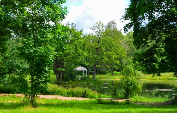 istock Beautiful well-groomed park, trimmed lawn. 1322196021