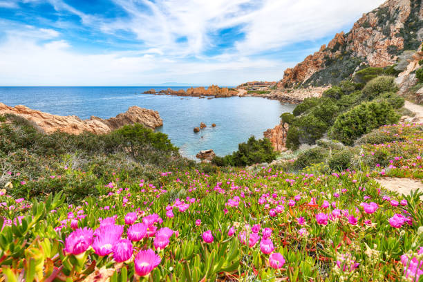 istock Popular travel destination on Sardinia Italy 1322196895