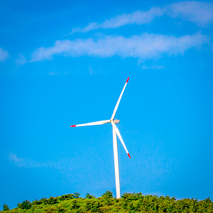 windmills with clear sky and green grass
