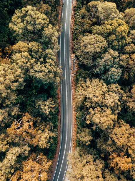 istock winding road in australia at dusk 1322200283