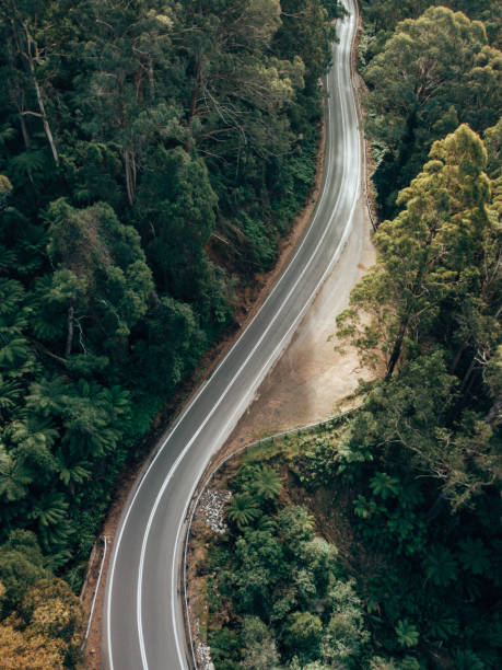istock winding road in australia at dusk 1322200300