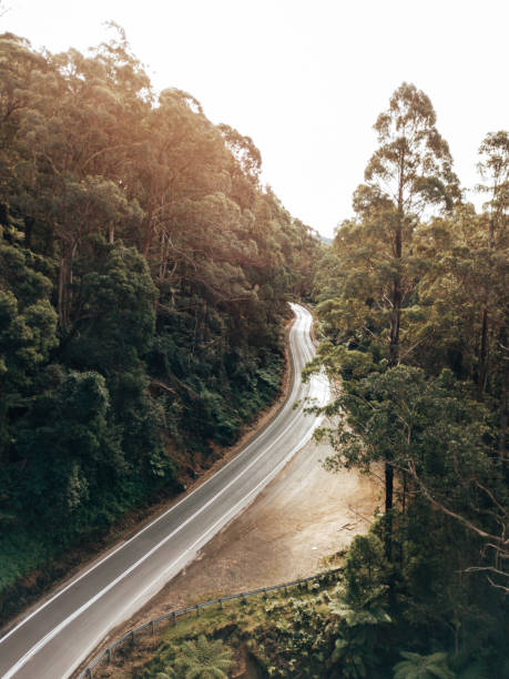 istock winding road in australia at dusk 1322200314