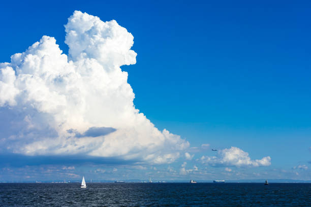 vista estiva della baia di tokyo dal parco sul mare2 - massa di nuvole foto e immagini stock