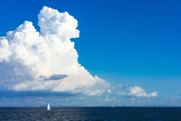 Taking a picture of the summer view of Tokyo Bay from the seaside park