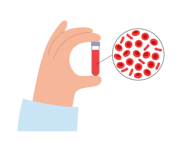 koncepcja struktury krwi - human cardiovascular system blood human blood vessel platelet stock illustrations