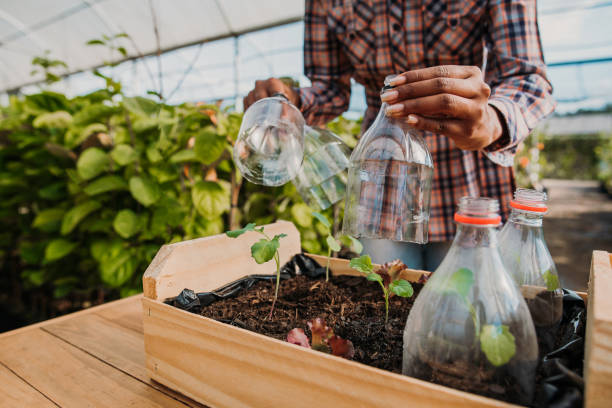 植物の持続可能性を育むプラスチックを再利用 - planting tree human hand women ストックフォトと画像