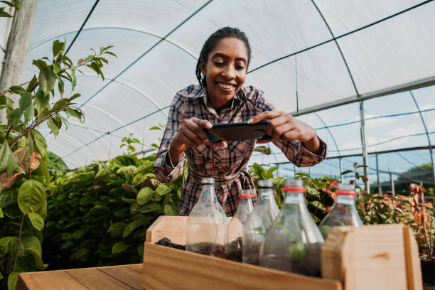 istock Reusing plastic to plant cultivate sustainability 1322221310