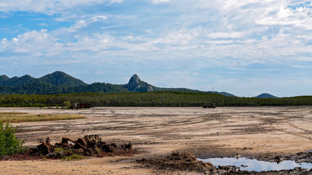 istock Burnt Out Dumped Cars 1322221580