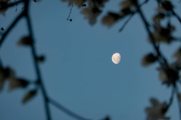 Photo of Autumn, the moon in the dark blue night sky