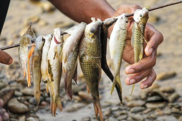 istock After spearfishing at Tamiang river 1322223929