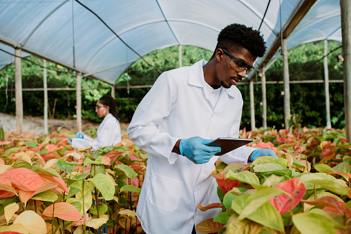 Men analyzing plants science