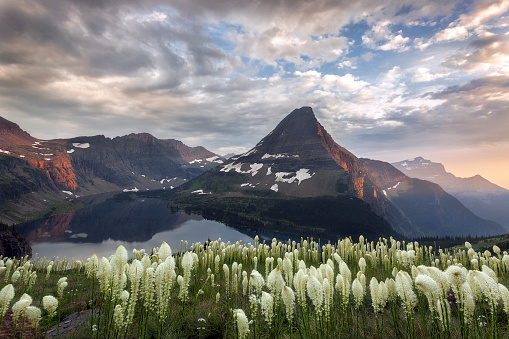 Glacier National Park in northwestern Montana is right on the Continental Divide and showcases the majestic Rocky Mountains. This area is known for the beauty of its high-alpine meadows, grand vistas, and gorgeous overlook of Hidden Lake. This shot is in the area of Logan Pass.