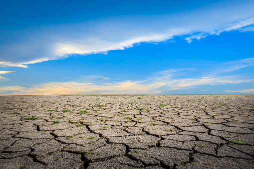 Dry cracked land landscape,drought concept.