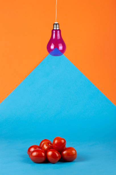 istock Geometric still life with purple light bulb on wire and ripe tomatoes 1322232334