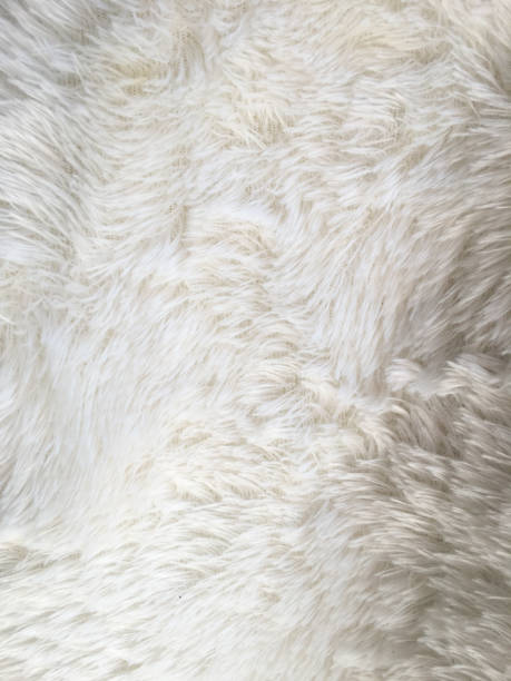 istock The Texture of Fur Carpet 1322235441