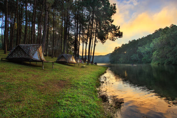 Beautiful of Camping tents under the pine tree with lake in sunrise. stock photo