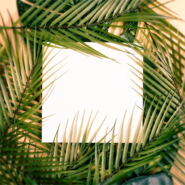 istock Minimal summer concept with palm tree leaf. Creative copyspace with paper frame. Colorful spring  background with paper card note. 1322238147