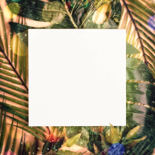 Minimal summer concept with palm tree leaf. Creative copyspace with paper frame. Colorful spring  background with paper card note.
