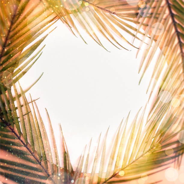 istock Minimal summer concept with palm tree leaf. Creative copyspace with paper frame. Colorful spring  background with paper card note. 1322238159