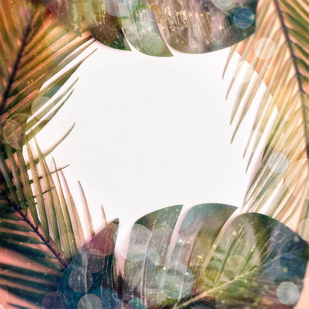 istock Minimal summer concept with palm tree leaf. Creative copyspace with paper frame. Colorful spring  background with paper card note. 1322238160