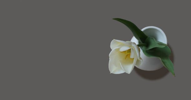 istock Yellow lemon in the snow. 1322239064