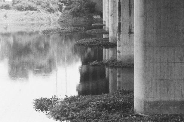 black and white analog negative film roll photo from ilford delta 3200