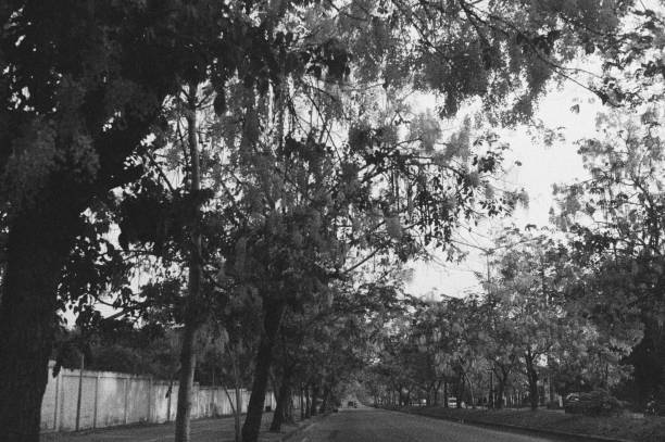 istock black and white analog negative film roll photo 1322239252
