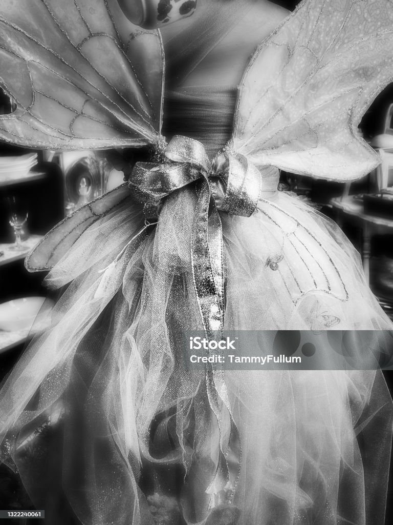 Fairy Godmother Abstract closeup of fairy Angel costume wings. Black and White Abstract Stock Photo
